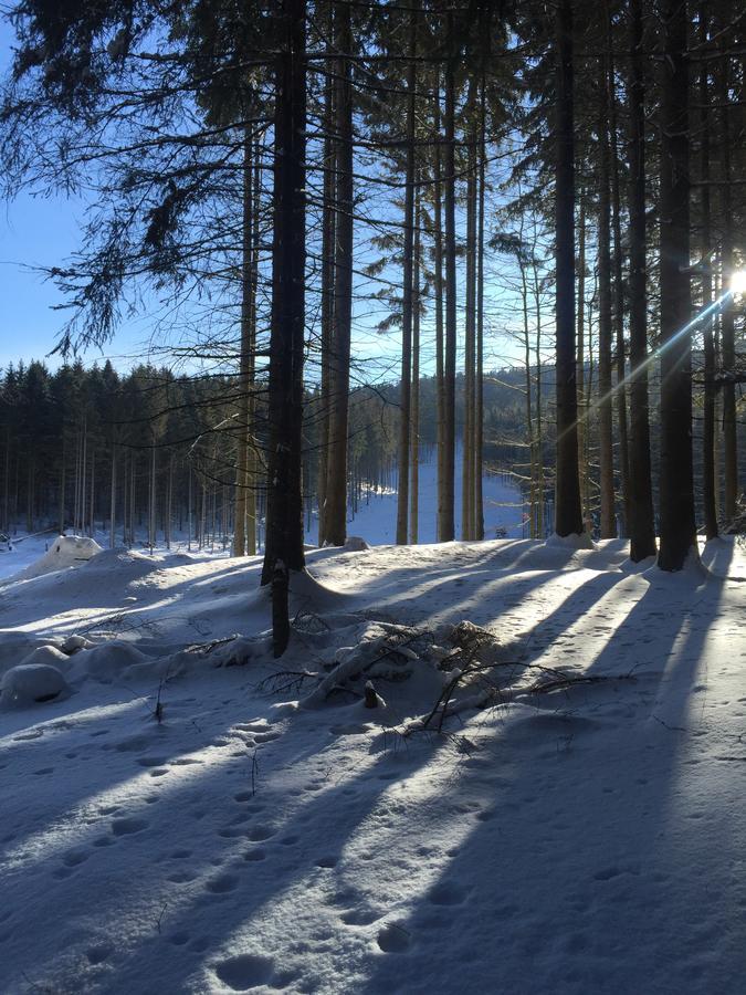Apartmany Sportrelax Albrechtice v Jizerskych horach Buitenkant foto