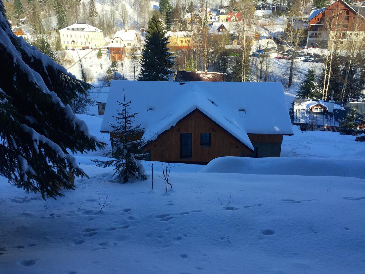 Apartmany Sportrelax Albrechtice v Jizerskych horach Buitenkant foto