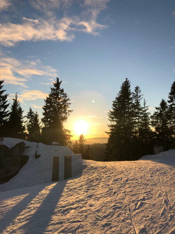 Apartmany Sportrelax Albrechtice v Jizerskych horach Buitenkant foto